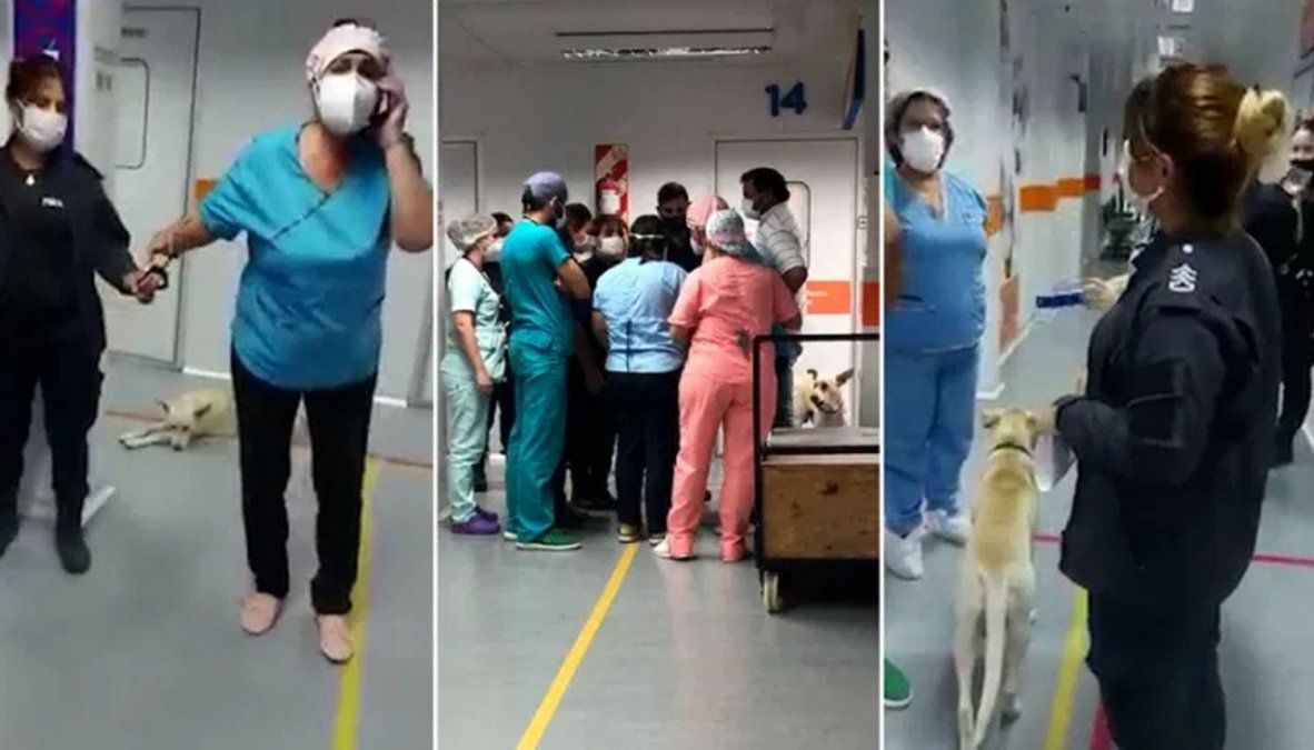 La enfermera realizó la denuncia por abuso de autoridad contra la policía.&nbsp;