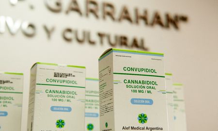 El Programa de Cannabis Medicinal, realizó este lunes la primera entrega de formulaciones basadas en cannabis a pacientes con epilepsia del Hospital Prof. Dr. Juan P. Garrahan. El Programa de Cannabis Medicinal, realizó este lunes la primera entrega de formulaciones basadas en cannabis a pacientes con epilepsia del Hospital Prof. Dr. Juan P. Garrahan.