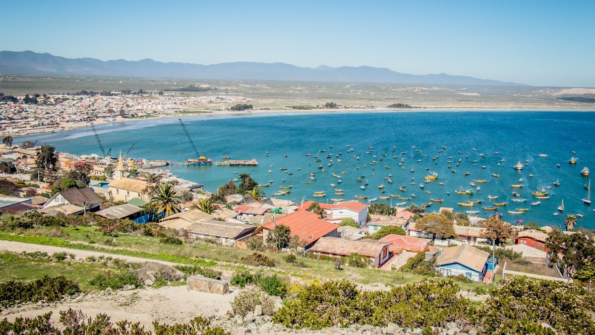 La bahía de Tongoy cuenta con condiciones oceanográficas únicas que permiten el cultivo de ostiones de exportación
