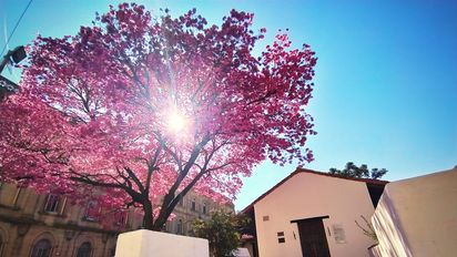 Semana Santa en Santa Fe: propuestas para conectar con la fe, la naturaleza y la cultura