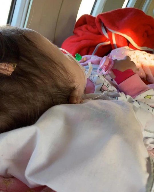 Emma regresa a su hogar/Foto: Instagram 