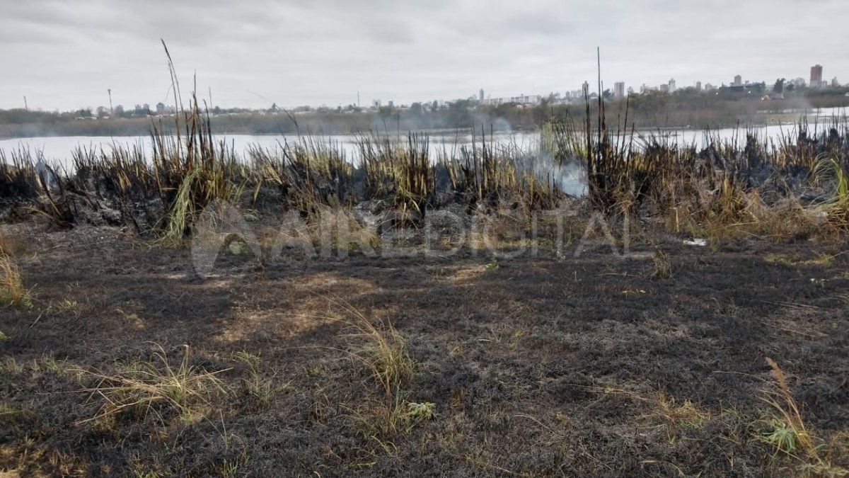 Así quedó el pastizal luego del incendio.&nbsp;