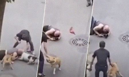 Un hombre cubre con su cuerpo a su perro anciano para protegerlo un feroz ataque Un hombre cubre con su cuerpo a su perro anciano para protegerlo un feroz ataque