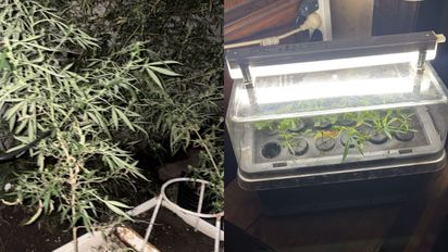 Santa Fe: amenazó para pedir dinero, huyó y terminó detenido con marihuana en su vivienda