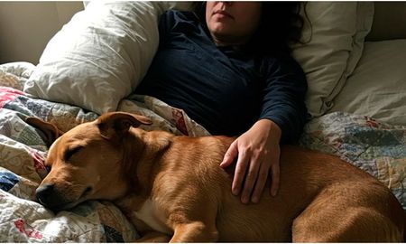 Qué significa que tu perro duerma pegado a vos, según expertos. Qué significa que tu perro duerma pegado a vos, según expertos.