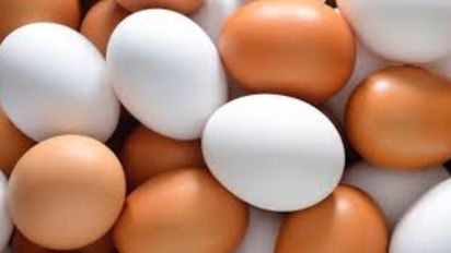 Huevo blanco o rojo: ¿cuál es la verdadera diferencia?