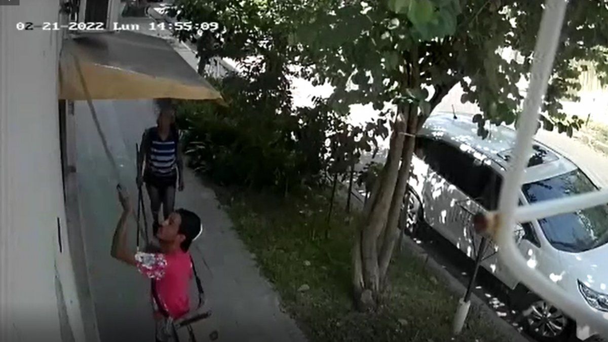 Entre otras funciones