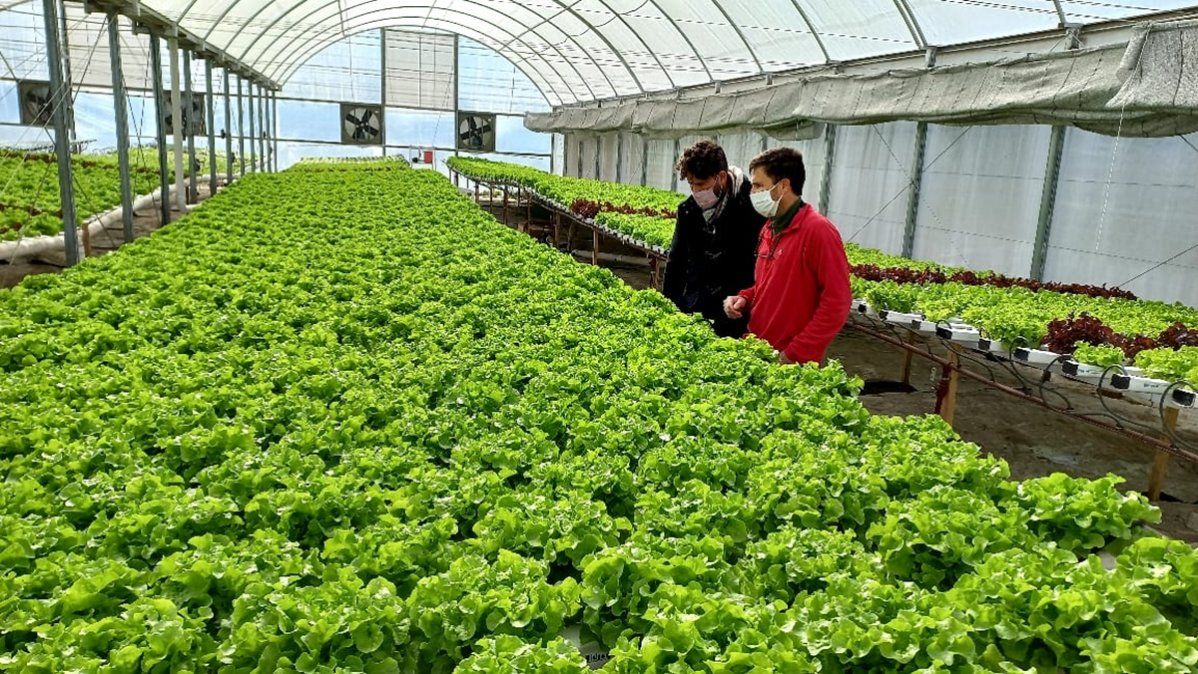 El programa de financiamiento prevé tanto inversión en infraestructura y tecnología