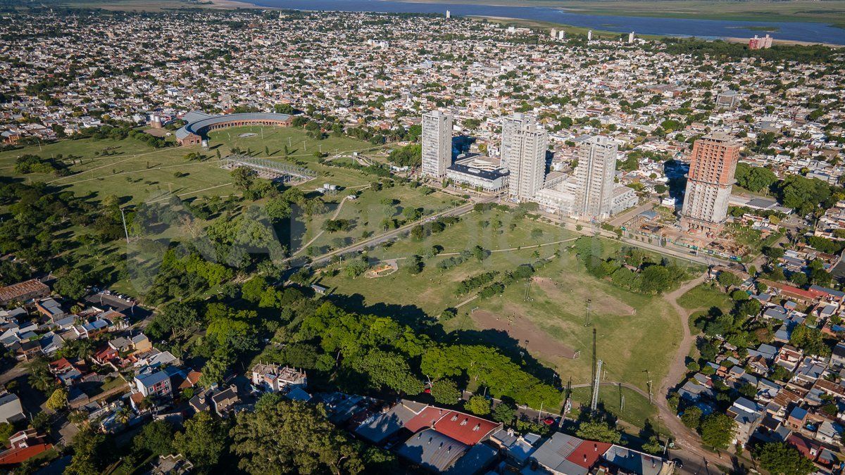 Vecinos denuncian destrozos en árboles
