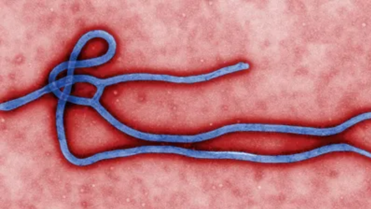 Controles sanitarios en Uganda para frenar el avance de la nueva variante del virus. Controles sanitarios en Uganda para frenar el avance de la nueva variante del virus.