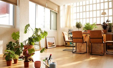 Coloca esta planta en tu sala para atraer energía positiva relacionada con el dinero y la prosperidad. Coloca esta planta en tu sala para atraer energía positiva relacionada con el dinero y la prosperidad.