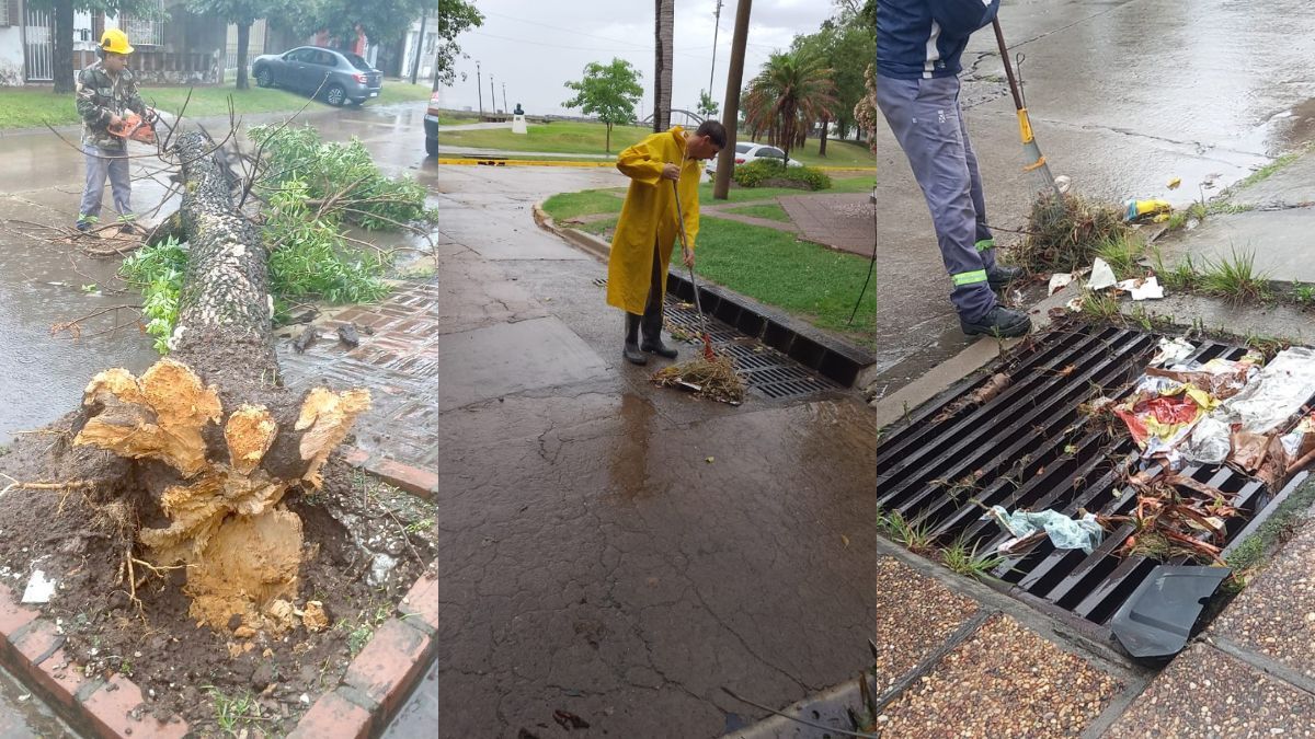 La Municipalidad de Santo Tomé trabaja para normalizar la ciudad tras las intensas lluvias