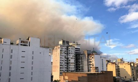 Califican de desastre ecológico a las quemas en el Delta con graves consecuencias para la salud. Califican de desastre ecológico a las quemas en el Delta con graves consecuencias para la salud.