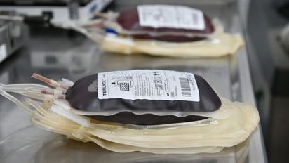Hemoterapia: con inversión y más de 200 colectas al año, Santa Fe consolida su modelo basado en la donación voluntaria de sangre