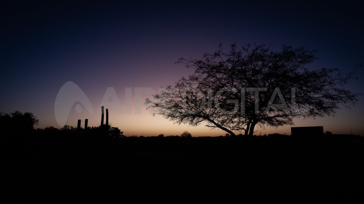 La Reserva Puesto del Mesías tiene más de 300 hectáreas y está ubicada a 20 kilómetros de Santa Fe.