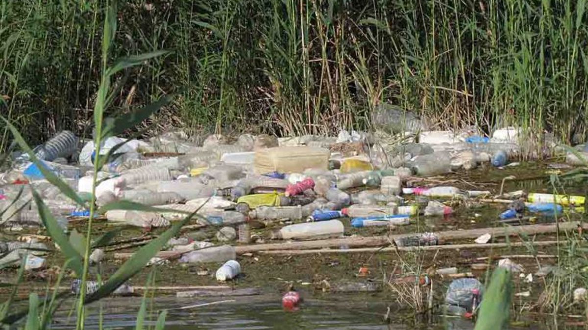 Preocupa la acumulación de residuos en la zona de islas aledañas a Monte Vera.