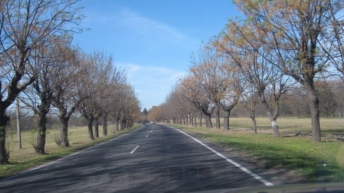 La secretaria de Derechos Humanos, en tanto, remarcó que el esfuerzo conjunto tiene como