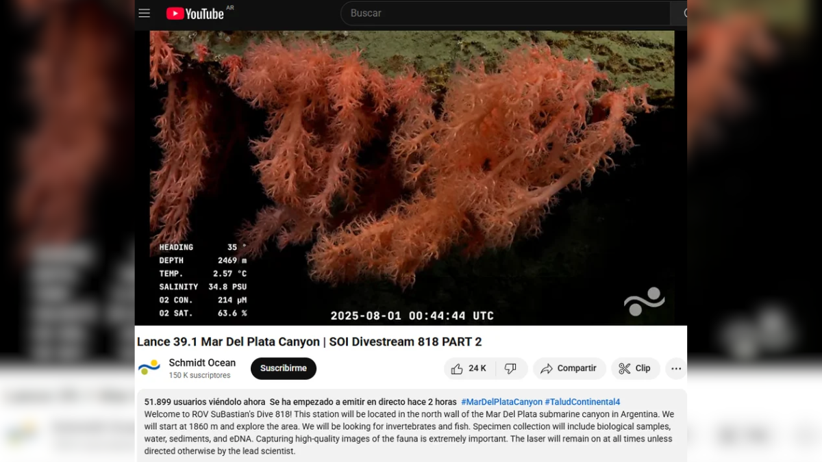 Rating de streaming: el Conicet en el fondo del mar aplastó a Javier Milei con Fantino Rating de streaming: el Conicet en el fondo del mar aplastó a Javier Milei con Fantino