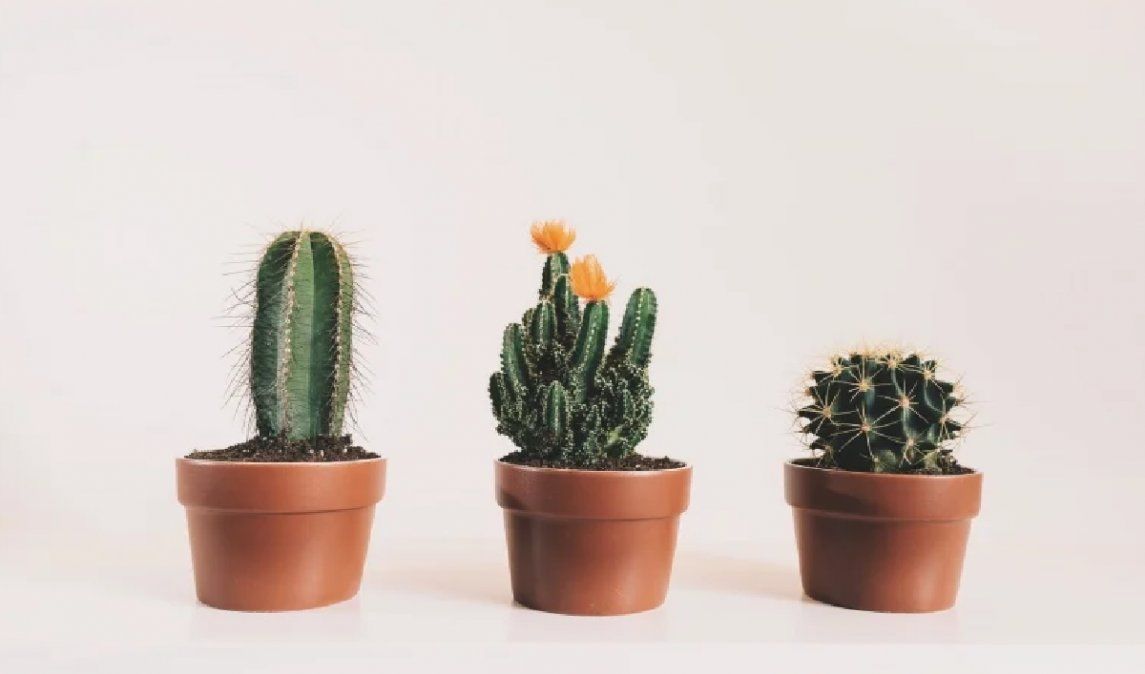 Te protegen de las ondas electromagnéticas