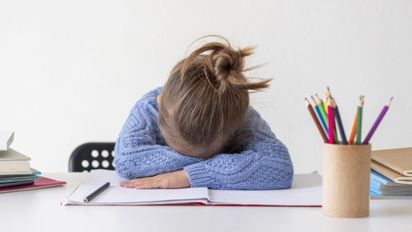 Trastorno por Déficit de Atención e Hiperactividad: desafíos y oportunidades para la inclusión