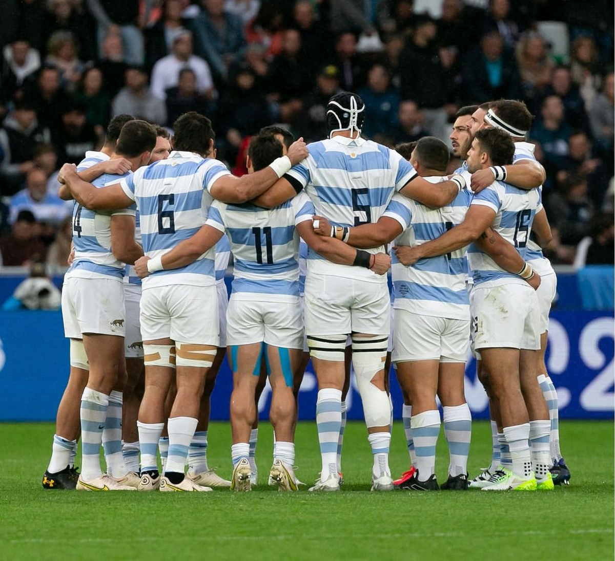 Los Pumas enfrentarán a Chile este sábado, con la obligación de ganar para seguir soñando con avanzar de ronda en el Mundial de Rugby. Los Pumas enfrentarán a Chile este sábado, con la obligación de ganar para seguir soñando con avanzar de ronda en el Mundial de Rugby.