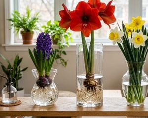 Pocos la conocen: la planta que perfuma toda la casa sin usar aromatizantes.