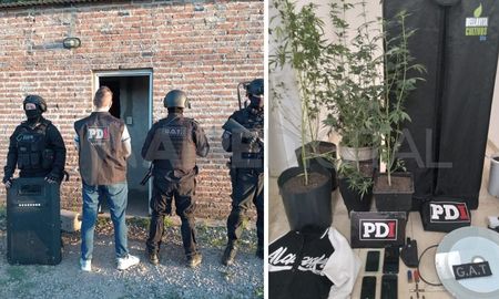 San Justo: la policía trasladó a los hermanos Pacheco e incautó plantas de marihuana San Justo: la policía trasladó a los hermanos Pacheco e incautó plantas de marihuana