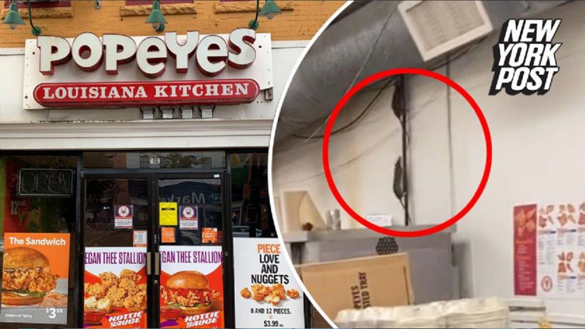 Viral: Una repugnante invasión de ratas en un conocido local de comida rápida