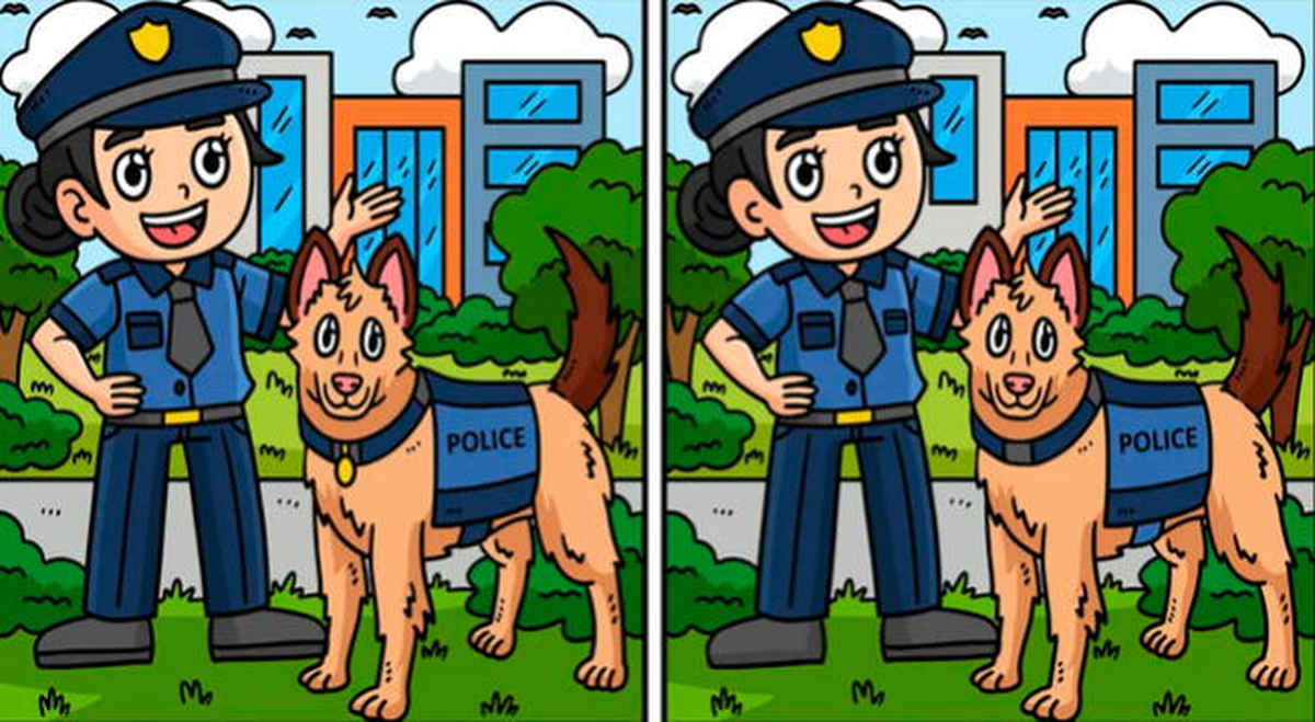 Reto visual: encontrá las diferencias.