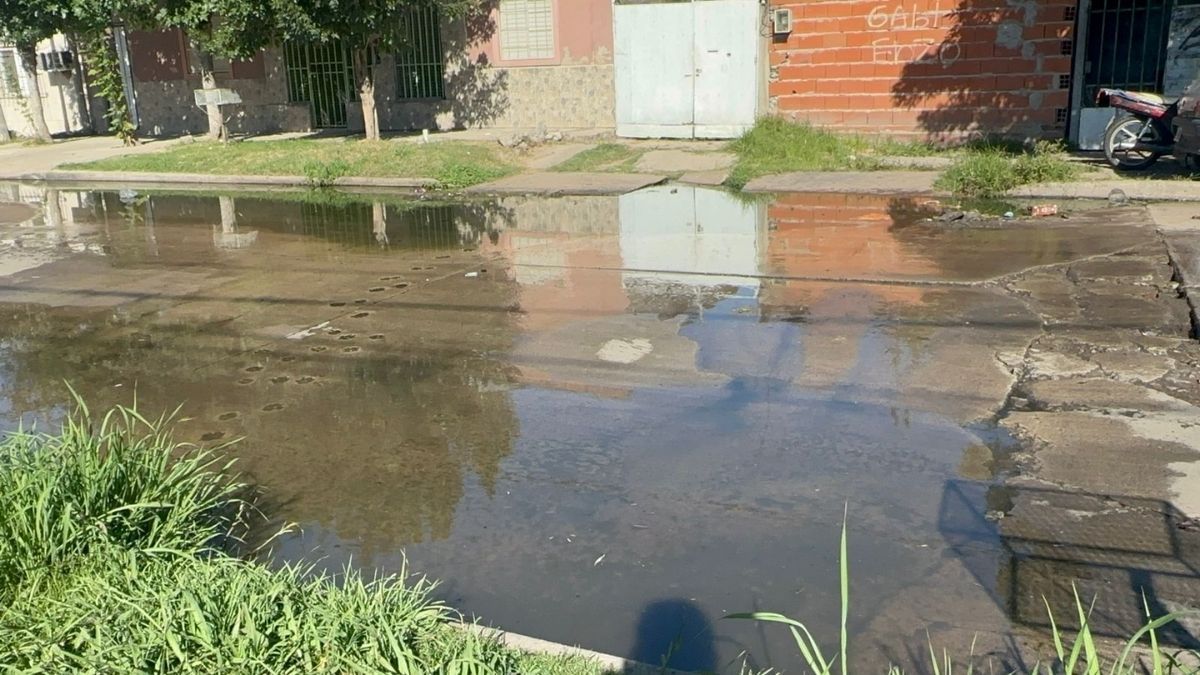 Así luce calle Padre Quiroga a la altura del 2200.