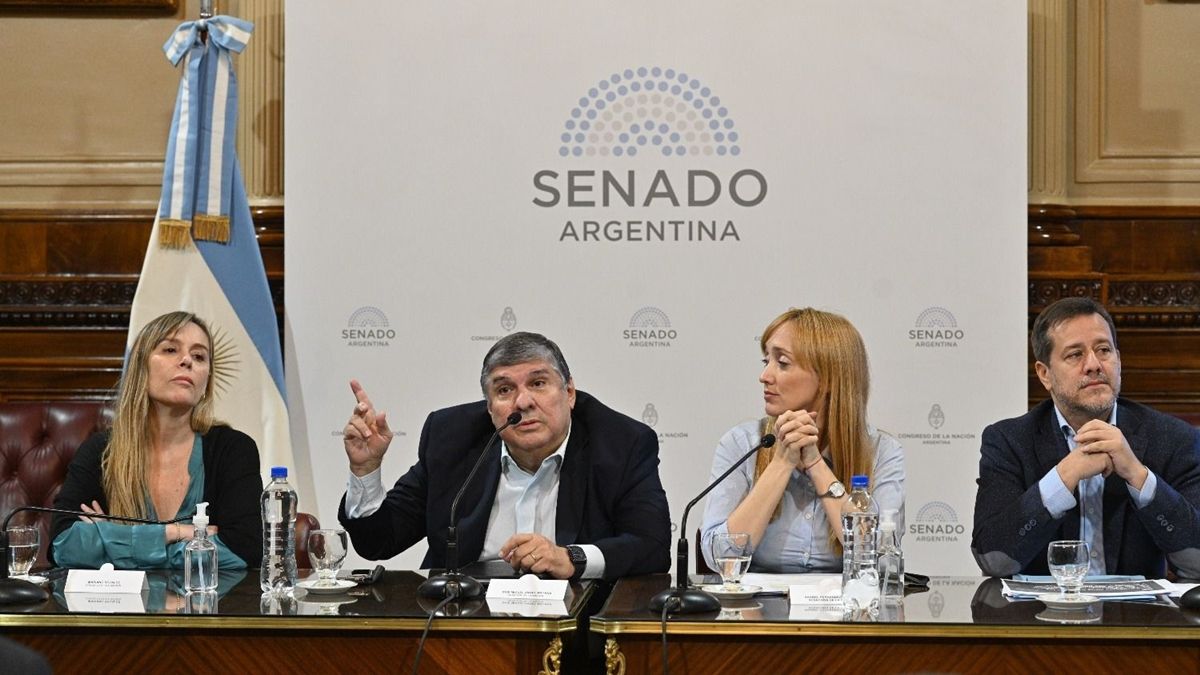 El encuentro se llevará a cabo desde las 14 en el Salón Arturo Illia del Palacio Legislativo, se informó hoy oficialmente.