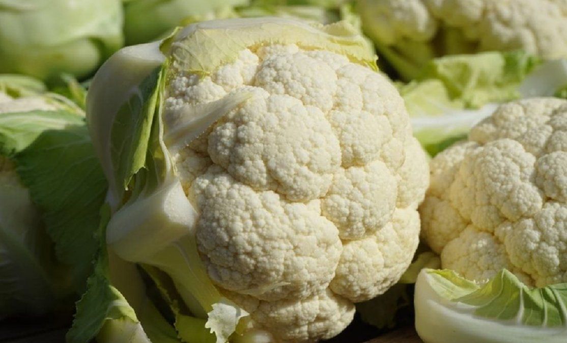 Coliflores