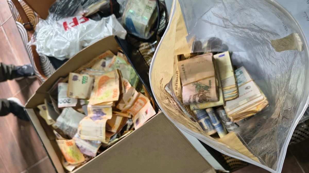 La Policía de Investigaciones de la Provincia realizó 13 procedimientos en los barrios Colastiné Norte, Coronel Dorrego y Chaparral. La Policía de Investigaciones de la Provincia realizó 13 procedimientos en los barrios Colastiné Norte, Coronel Dorrego y Chaparral.