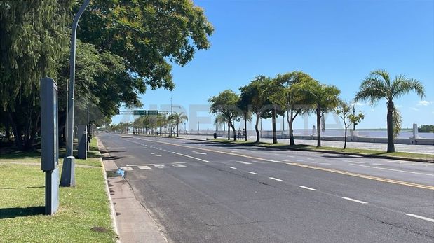 En la primera semana del plan Un árbol para tu vereda, alrededor de 450 santafesinos pidieron el suyo, aseguró Titi Barletta.