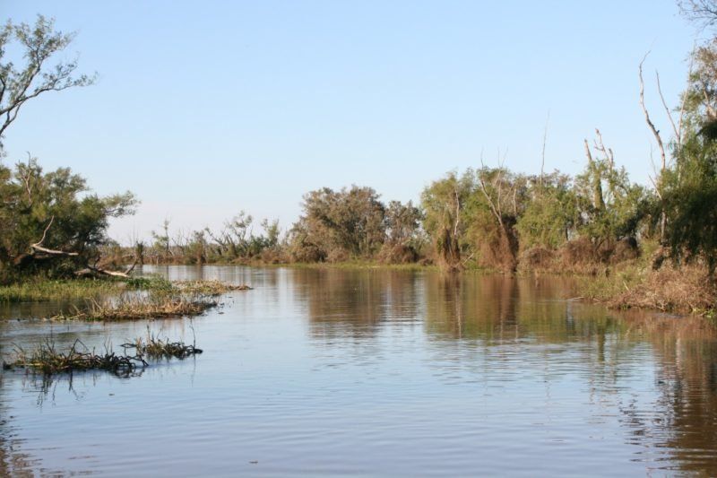 El plan de manejo del sitio Ramsar Delta del Paraná propone jerarquizar el cuidado de los humedales