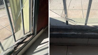 Rompieron un vidrio y robaron gin, whisky y cervezas de una tradicional vinoteca de Santa Fe: 