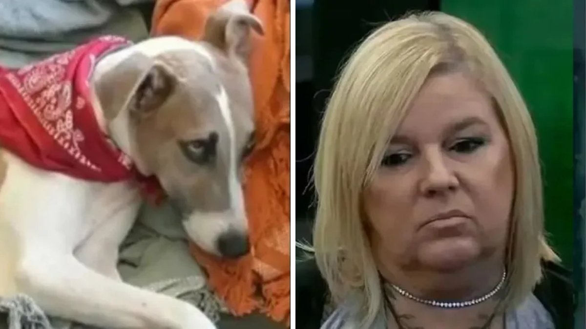 Se conoció el maltrato de Virginia al perro Arturo de Gran Hermano 2023 y el video se hizo viral.
