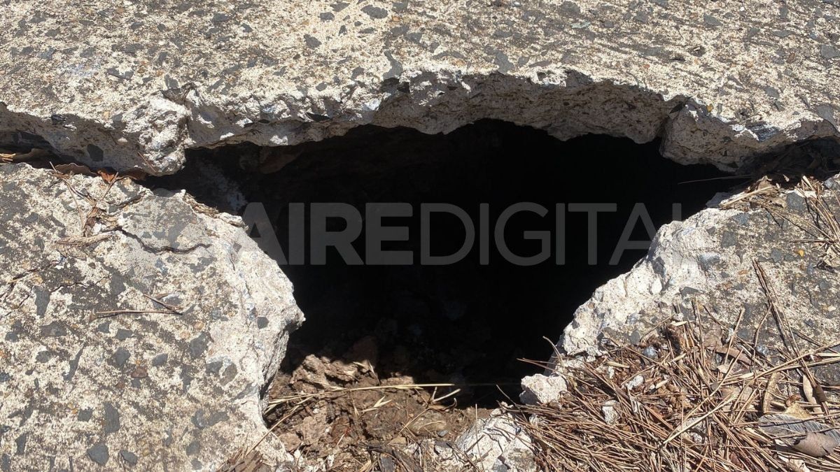 Un hundimiento en el cantero central de Bulevar Gálvez genera alerta. Un hundimiento en el cantero central de Bulevar Gálvez genera alerta.