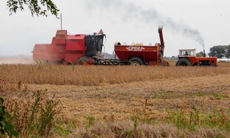 carsfe pide reimplantar y prolongar las retenciones cero carsfe pide reimplantar y prolongar las retenciones cero
