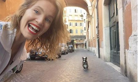 liz solari y varias figuras internacionales se unen a un desafio vegano liz solari y varias figuras internacionales se unen a un desafio vegano