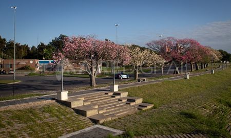 Comienza la primavera con un día de sol en Santa Fe. Comienza la primavera con un día de sol en Santa Fe.