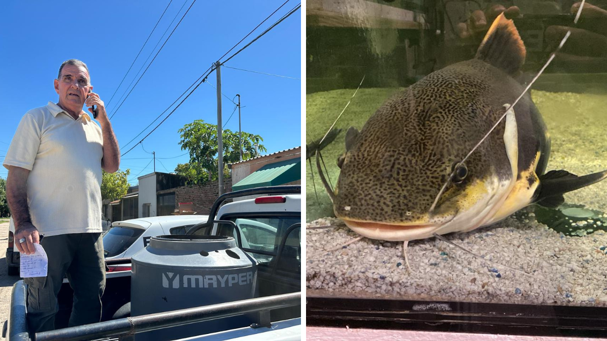 Gordo inicia su viaje hacia una nueva vida en Temaikén.