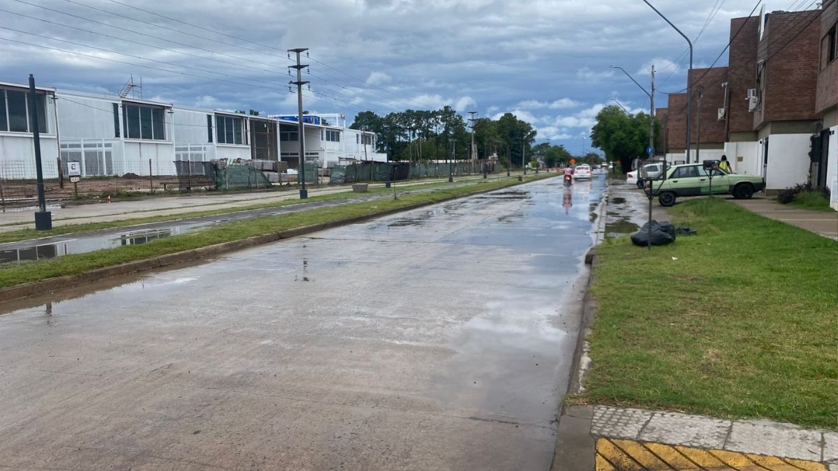 Las fuertes lluvias que provocaron anegamientos generan las condiciones para que se propague la enfermedad.