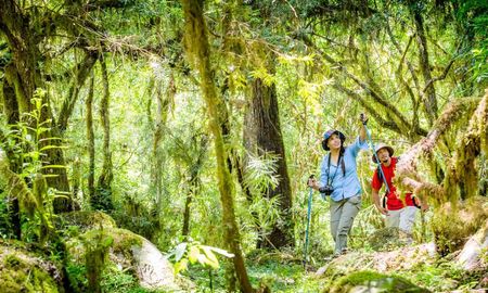 Descubrí esta impresionante reserva escondida en las Yungas tucumanas para visitar. Descubrí esta impresionante reserva escondida en las Yungas tucumanas para visitar.