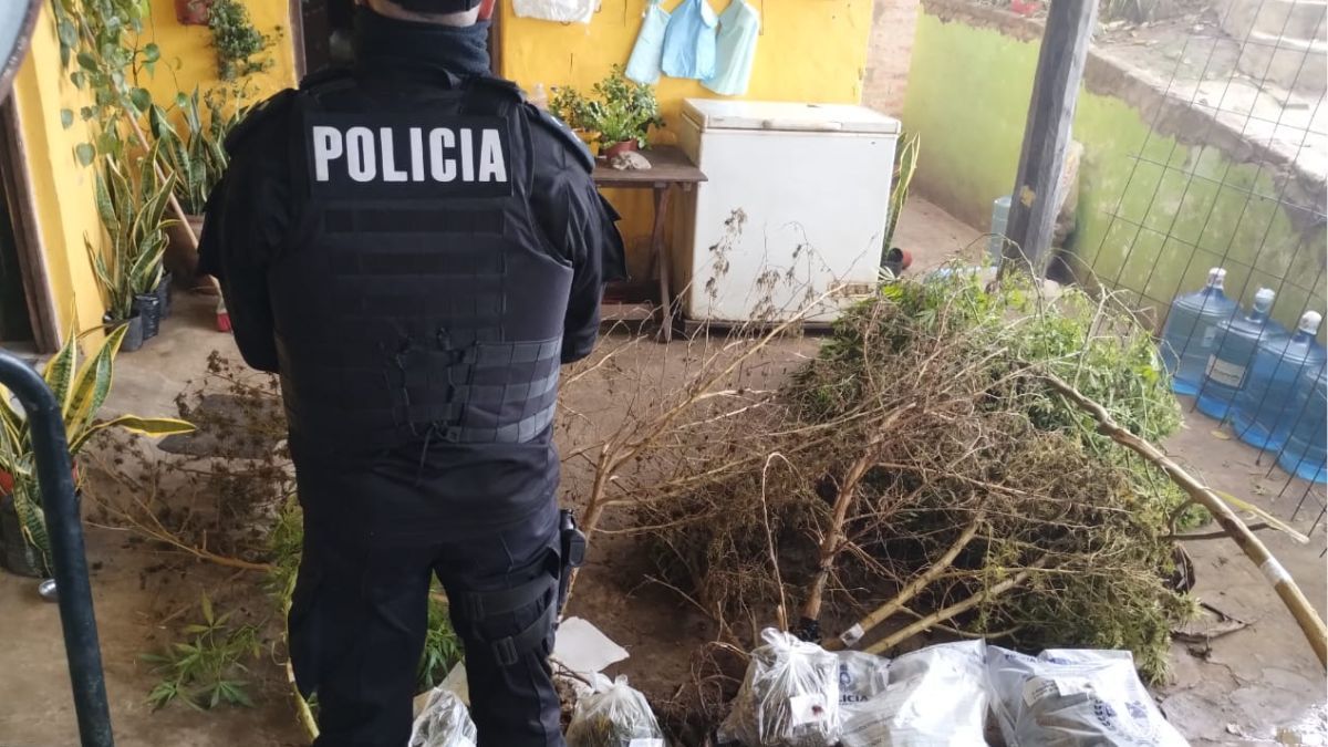 Parte de los elementos secuestrados. Parte de los elementos secuestrados.