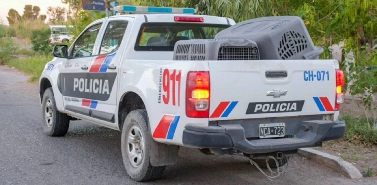 Aunque aún no hallaron a los animales