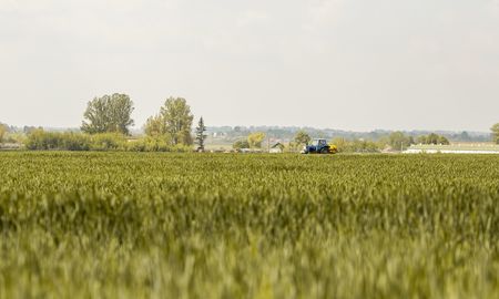 Los países del G20 representan alrededor de 60% de todas las tierras agrícolas y alrededor de 80% del comercio mundial de productos agrícolas. Los países del G20 representan alrededor de 60% de todas las tierras agrícolas y alrededor de 80% del comercio mundial de productos agrícolas.