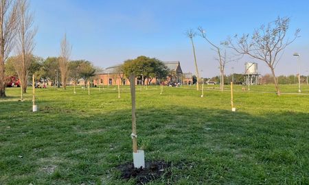 Se plantaron 30 árboles en el Parque federal y en dos semanas se continuará con el proyecto de 15 más. Se plantaron 30 árboles en el Parque federal y en dos semanas se continuará con el proyecto de 15 más.