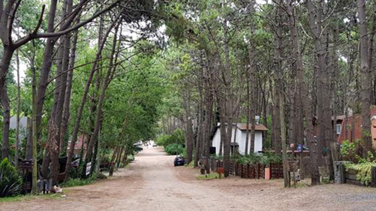 Mar Azul es un destino playero escondido frente al mar. Mar Azul es un destino playero escondido frente al mar.