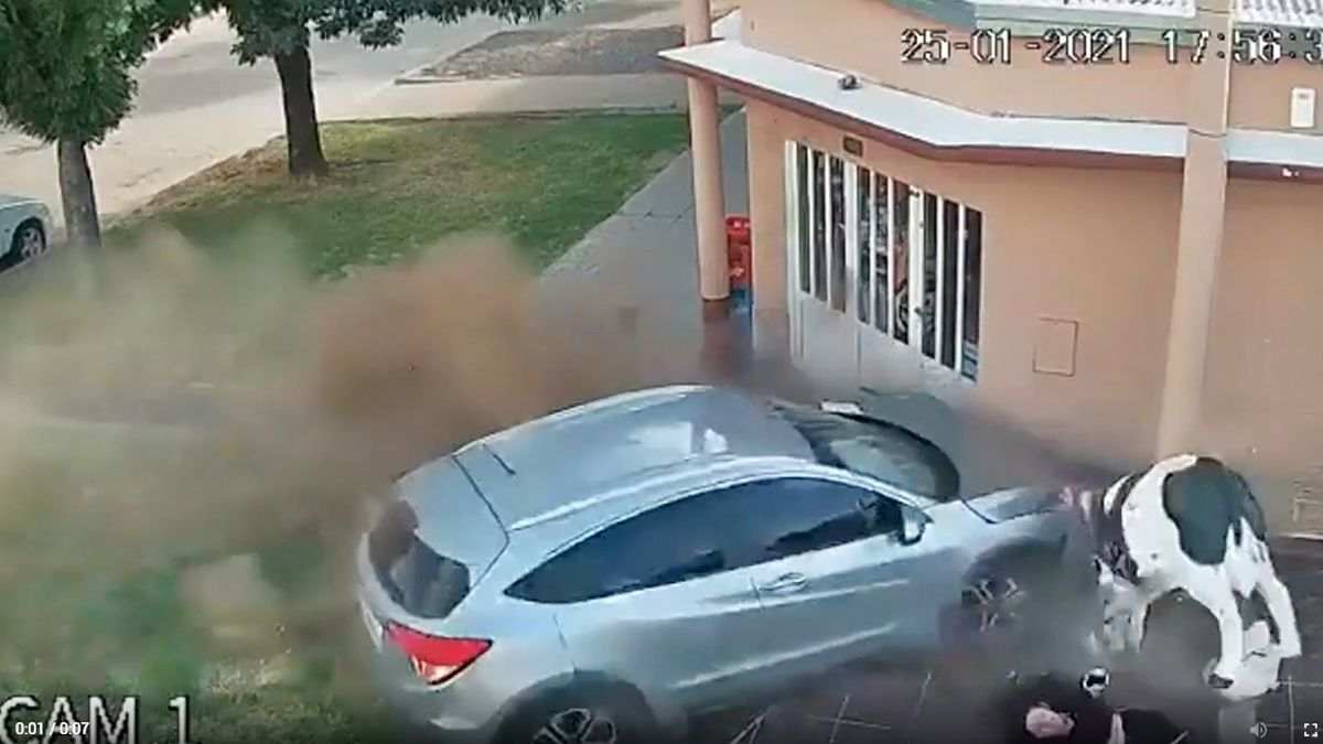 El accidente se registró en la ciudad santafesina de Teodelina